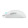ASUS ROG Harpe Ace Mini Weiß - 49g, USB, 2,4 GHz RF, 42.000 dpi, 8.000 Hz
