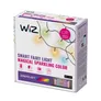 WiZ RGBIC Smart LED Fairy Light Lichterkette + WiZ Smart Plug powermeter Type-F Steckdose weiß