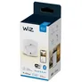 WiZ RGBIC Smart LED Fairy Light Lichterkette + WiZ Smart Plug powermeter Type-F Steckdose weiß