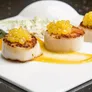 Rommelsbacher FD 500 Food Designer Perlino für Geleeperlen