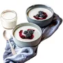 Rommelsbacher JG 80 Jona Joghurt- und Frischkäsebereiter