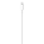 Apple USB-C auf Lightning Kabel 2m