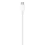 Apple USB-C auf Lightning Kabel 2m