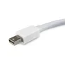 EQUIP 133440 Mini-DisplayPort auf DisplayPort Adapter