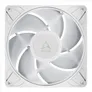 ARCTIC Gehäuselüfter P12 Pro A-RGB PWM 120 mm weiß 4-pin