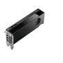 PNY NVIDIA RTX Pro 4000 Blackwell 24GB GDDR7 Workstation SFF Grafikkarte SmallBox