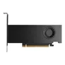PNY NVIDIA RTX Pro 2000 Blackwell 16GB GDDR7 Workstation Grafikkarte ProBox