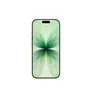 Apple iPhone 17 256GB Salbei MG6N4ZD/A