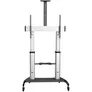 StarTech TV-Wagen - Fernsehständer mit Rollen für 60-100 Zoll-Displays (100kg)