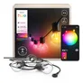 Philips Hue Festavia Globe Außenlichterkette, White and Color Ambiance, 14 m Länge, 20 Lampenkugeln, dimmbar, Steuerung per Hue App