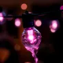 Philips Hue Festavia Globe Außenlichterkette, White and Color Ambiance, 14 m Länge, 20 Lampenkugeln, dimmbar, Steuerung per Hue App