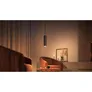 Philips Hue White & Color Ambiance Perifo • Erweiterungspendel schwarz