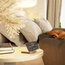 Zens Aluminium Series Magnetic Nightstand Wireless Charger incl. Power Adapter 20W | 15W | Qi kupfer inkl 20W Netzteil