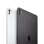 Apple iPad Pro 11" 2025 Wi-Fi + Cellular 2TB Silber Nanotexturglas ME6D4TY/A
