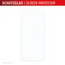 DISPLEX Real Glass + Case für iPhone 17