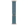 Apple 49 mm Alpine Loop Hellblau - Small - Titan Natur