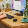Logitech MK250 Combo Grafit, Kabellose Maus-Tastaturkombination, Bluetooth, 1000 DPI, Batteriebetrieb