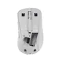 ASUS MD102 Optische Wireless Maus weiß