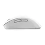 ASUS MD102 Optische Wireless Maus weiß