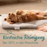 Beurer PP 210 Heizmatte Lilli für Haustiere