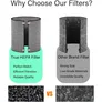 Dyson Carbon Filter Grau