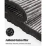 Dyson Carbon Filter Grau