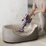 Dyson V8 Absolute Akku-Handstaubsauger silber/gelb