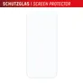 DISPLEX Real Glass + Case Google Pixel 10 Pro Schutzglas und transparente Hülle