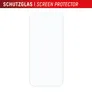 DISPLEX Real Glass + Case Google Pixel 9 Schutzglas und transparente Hülle
