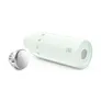 SMEG WBF01PG 24Bottles® Clima Bottle isolierte Edelstahlflasche Pastellgrün 500 ml