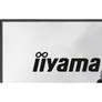 iiyama G-Master Black Hawk G2441HSU-B1 23.8 Zoll Full HD IPS Panel 16:9 144 Hz Gaming Monitor