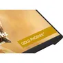 iiyama G-Master Gold Phoenix GB3295QSU-B1 31.5 Zoll WQHD VA Panel 16:9 240 Hz Gaming Monitor