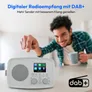 Medion LIFE Internetradio IRE-1 grau