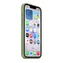 Apple Silicone Case mit MagSafe für iPhone 17e Hellmoosgrün