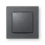 Homematic IP Wandtaster 2-fach HmIP-WRC2-A-2 schwarz