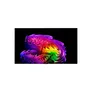 LG OLED77G67L Evo Smart TV Gallery Design UHD 120 Hz Fernseher