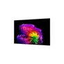 LG OLED77G67L Evo Smart TV Gallery Design UHD 120 Hz Fernseher