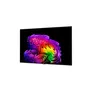 LG OLED65G67L Evo Smart TV Gallery Design UHD 120 Hz Fernseher