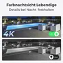 Reolink P330 Netzwerk-Überwachungskamera Outdoor