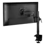 ARCTIC X1 Monitorarm Monitore bis zu 43 Zoll Tischbefestigung