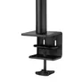 ARCTIC X1 Monitorarm Monitore bis zu 43 Zoll Tischbefestigung