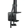 ARCTIC X1 Monitorarm Monitore bis zu 43 Zoll Tischbefestigung
