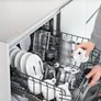 DeLonghi ECAM 450.55.S Eletta Explore Kaffeevollautomat silber/schwarz