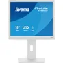 iiyama ProLite B1980S-W1 48.3cm (19") SXGA TN LED 5:4 75 Hz Office Monitor