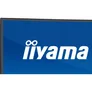 iiyama ProLite XCB4594DQSU-B1 45 Zoll DQHD 32:9 75 Hz Monitor