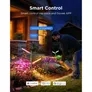 Govee RGBICWW smart Garden Lights Matter, Alexa, WiFi