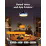 Govee smarte Hängeleuchte 30cm RGBICWW rund 28W Wi-Fi/Bluetooth Matter Alexa