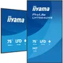 iiyama ProLite LH7564UHS-B1AG 190,5cm (75") 4K UHD Monitor HDMI/USB-C