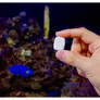 Shelly The Pill by Shelly Regler mit Bluetooth und WLAN