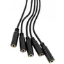 Shelly Splitter 1 zu 5 - 3,5 mm Jack